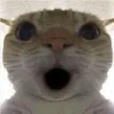 OOO