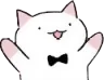 yaycat yaycat