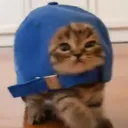 capcat
