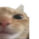 benphai