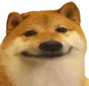 DGdogSmile