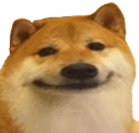 JCSdogSmile Discord sticker - Jewish Community