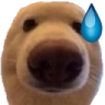 nervous custom emote from Jewish Community