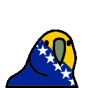 bosniaandherzegovinaParrot