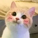 uwu Discord Emoji