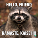 hello_namaste_kaiseho Discord emoji