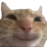 gusicsmile