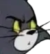 wizzwhat