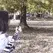 aJennieRun