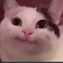 bleb
