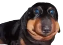 erm