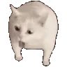 CatGagMG