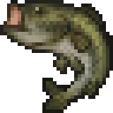 Bass