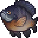 Bluegill