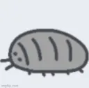 roly3