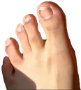 FlowerStep FlowerStep