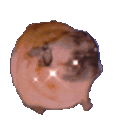 Dancingpug Discord Emoji