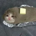 Buttercat Discord Emoji