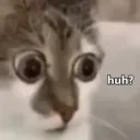 huh