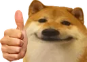 Shibthumbsup