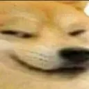 sneakydoge20