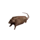 ratspin