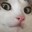DrpsConfused DrpsConfused
