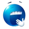 NPYawn