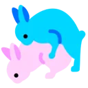 rabbits rabbits