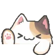 bongokitty
