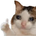 cat_thumbsup