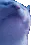 xgr_x_cat_jam