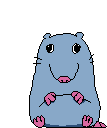 StupidRatte animated GIF emoji from It's - Hoppy Room 💐🌷
