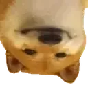 wideborkleftupsidedown