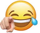 Pointandlaugh pointandlaugh Discord Emoji