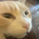 butters
