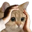OhNo