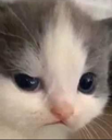 umm Discord emoji
