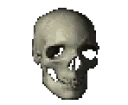 skullspin