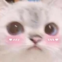 UwuCat
