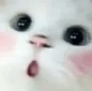 Ooo