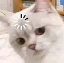 HisHuh