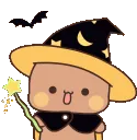 bearwizard