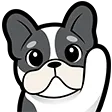 KassieHihi