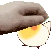 birdpat