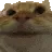 CatYes_OP