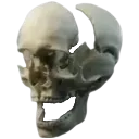 BrUh