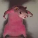 Pinkychuha Pinkychuha