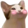CatBlush