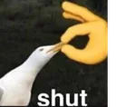 z_mbg_Shut_